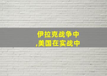 伊拉克战争中,美国在实战中