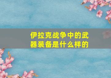 伊拉克战争中的武器装备是什么样的