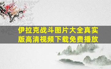 伊拉克战斗图片大全真实版高清视频下载免费播放