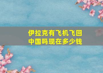 伊拉克有飞机飞回中国吗现在多少钱