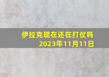 伊拉克现在还在打仗吗2023年11月11日