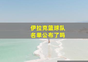 伊拉克篮球队名单公布了吗