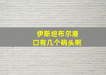 伊斯坦布尔港口有几个码头啊