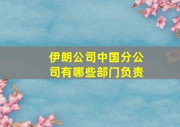 伊朗公司中国分公司有哪些部门负责