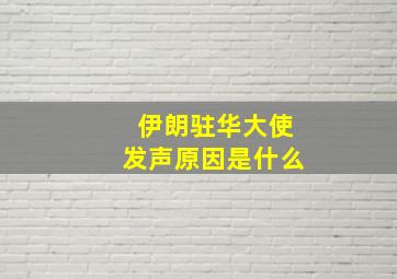 伊朗驻华大使发声原因是什么