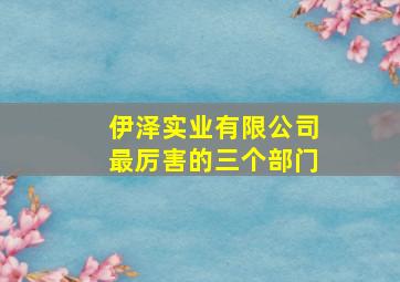 伊泽实业有限公司最厉害的三个部门