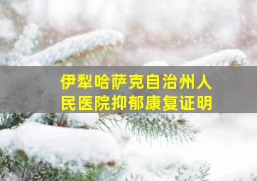 伊犁哈萨克自治州人民医院抑郁康复证明