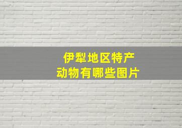 伊犁地区特产动物有哪些图片