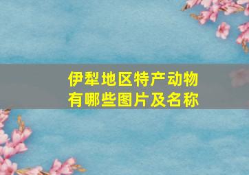 伊犁地区特产动物有哪些图片及名称