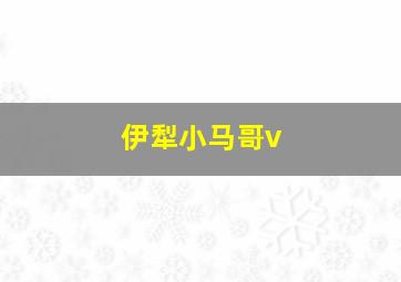 伊犁小马哥v