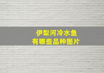 伊犁河冷水鱼有哪些品种图片