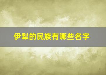 伊犁的民族有哪些名字