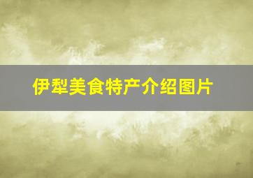 伊犁美食特产介绍图片