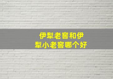 伊犁老窖和伊犁小老窖哪个好