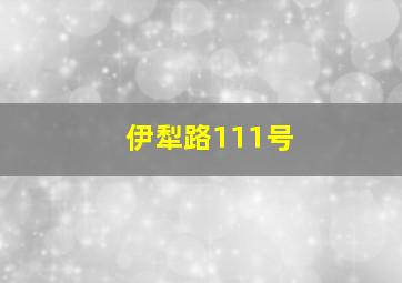 伊犁路111号