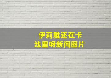 伊莉雅还在卡池里呀新闻图片