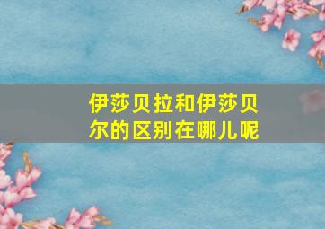 伊莎贝拉和伊莎贝尔的区别在哪儿呢