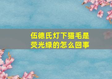 伍德氏灯下猫毛是荧光绿的怎么回事