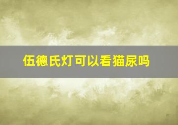 伍德氏灯可以看猫尿吗