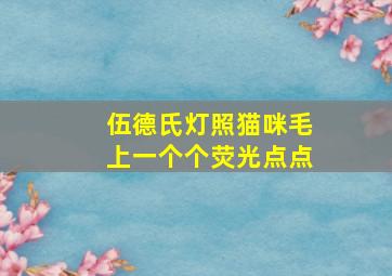 伍德氏灯照猫咪毛上一个个荧光点点