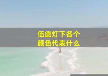 伍德灯下各个颜色代表什么