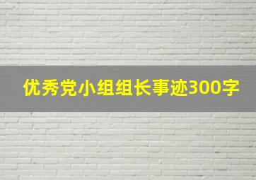 优秀党小组组长事迹300字