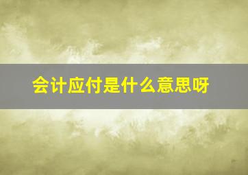 会计应付是什么意思呀