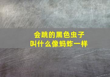 会跳的黑色虫子叫什么像蚂蚱一样