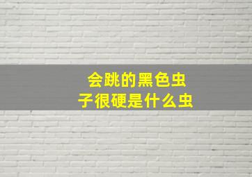 会跳的黑色虫子很硬是什么虫