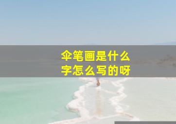 伞笔画是什么字怎么写的呀