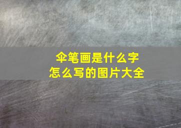 伞笔画是什么字怎么写的图片大全