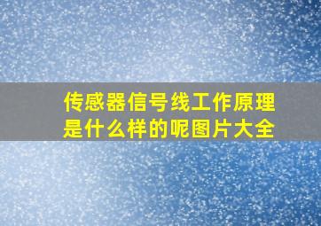 传感器信号线工作原理是什么样的呢图片大全