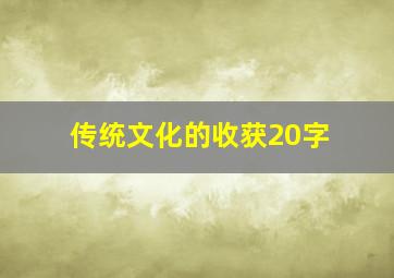 传统文化的收获20字