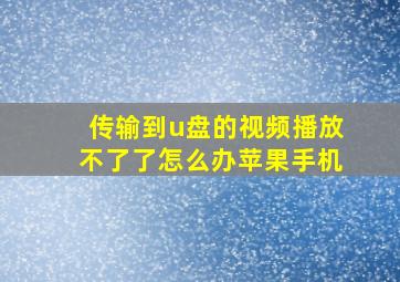 传输到u盘的视频播放不了了怎么办苹果手机