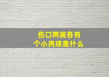 伤口两端各有个小肉球是什么