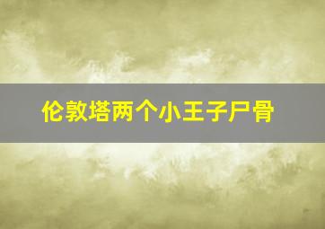 伦敦塔两个小王子尸骨