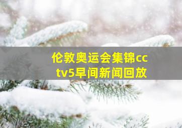 伦敦奥运会集锦cctv5早间新闻回放