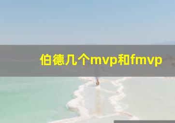 伯德几个mvp和fmvp