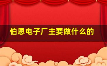 伯恩电子厂主要做什么的