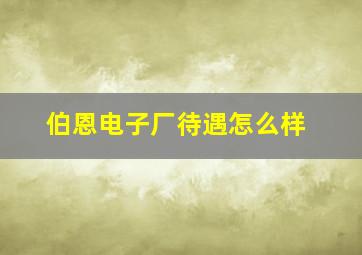 伯恩电子厂待遇怎么样