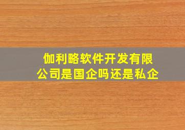 伽利略软件开发有限公司是国企吗还是私企