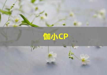 伽小CP