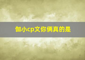 伽小cp文你俩真的是