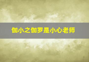 伽小之伽罗是小心老师