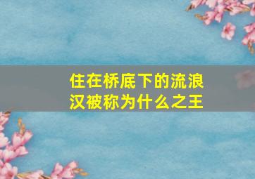 住在桥底下的流浪汉被称为什么之王