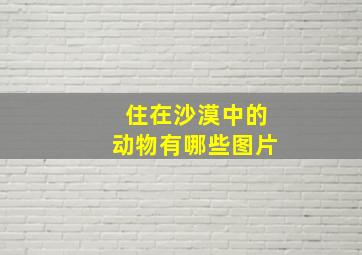 住在沙漠中的动物有哪些图片