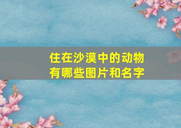 住在沙漠中的动物有哪些图片和名字