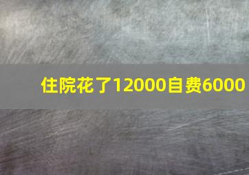 住院花了12000自费6000