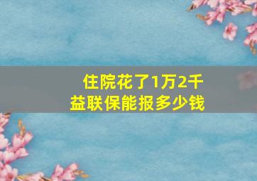 住院花了1万2千益联保能报多少钱