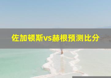 佐加顿斯vs赫根预测比分